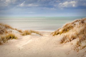 Rendez-vous Nature - Traces dans le sable